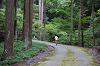 camp30 (158)_thumb.png